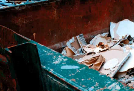 About Dump Pro Dallas Video